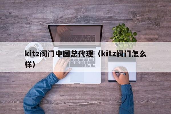 kitz阀门中国总代理（kitz阀门怎么样）