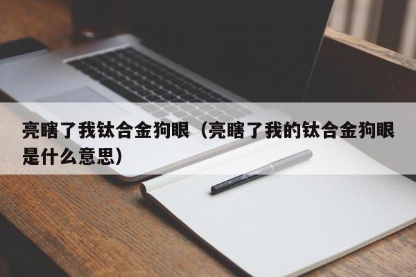 亮瞎了我钛合金狗眼（亮瞎了我的钛合金狗眼是什么意思）