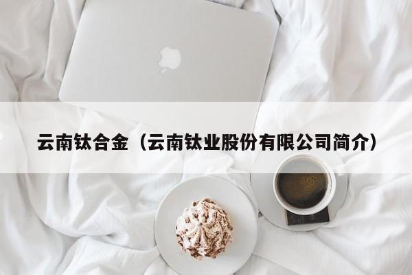 云南钛合金（云南钛业股份有限公司简介）